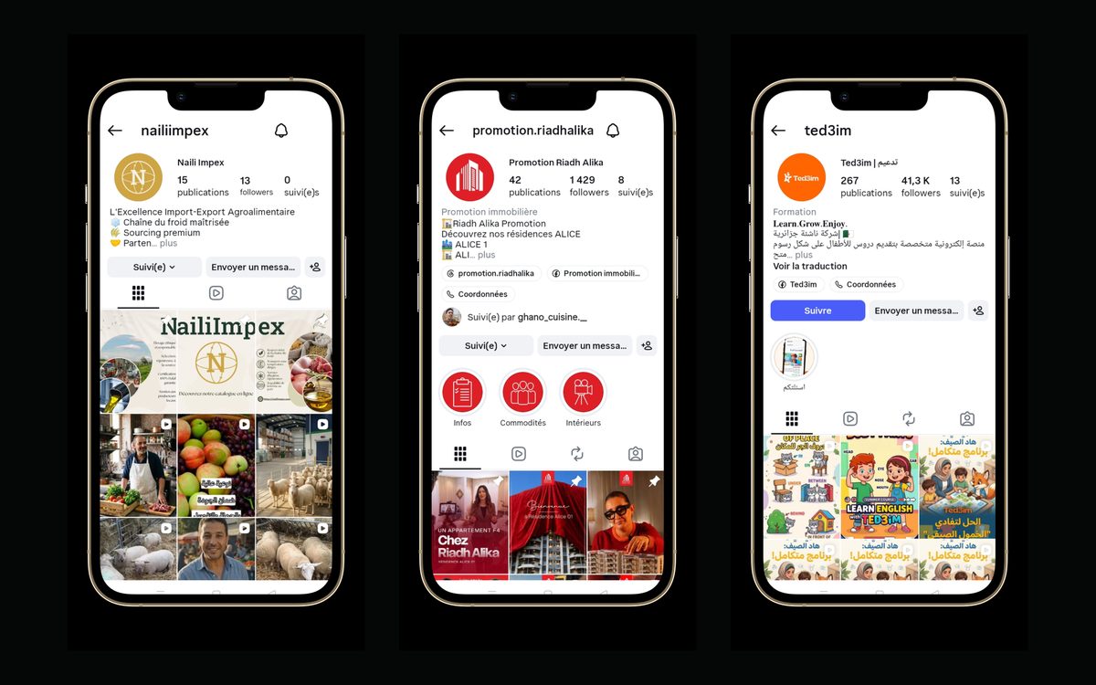 Instagram feeds managed by Ellipsis for Naili Impex, Riadh Alika and Ted3im